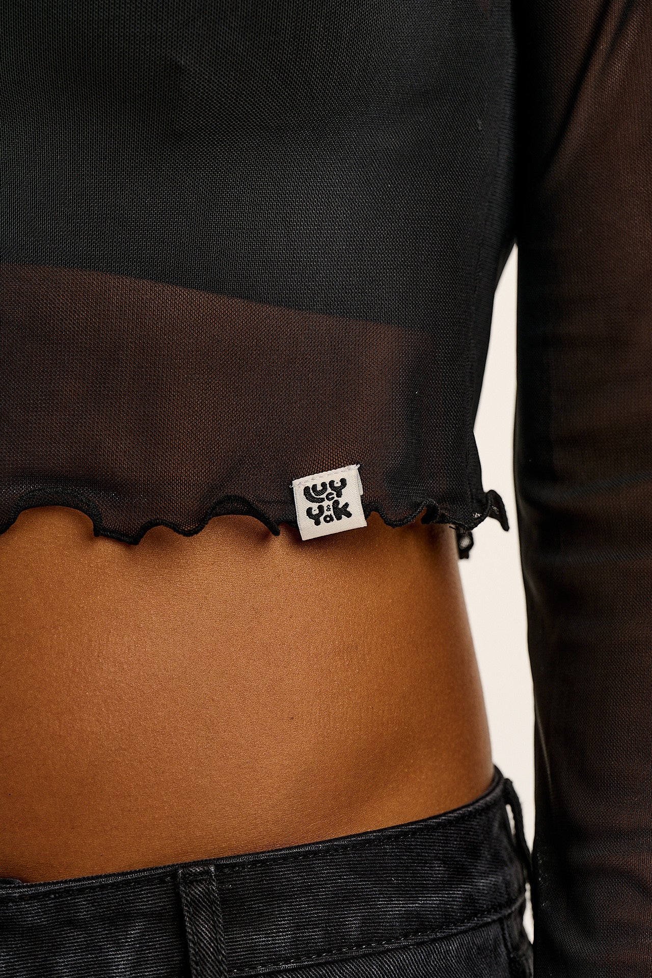 Perrie - Long Sleeve Mesh Top in Black