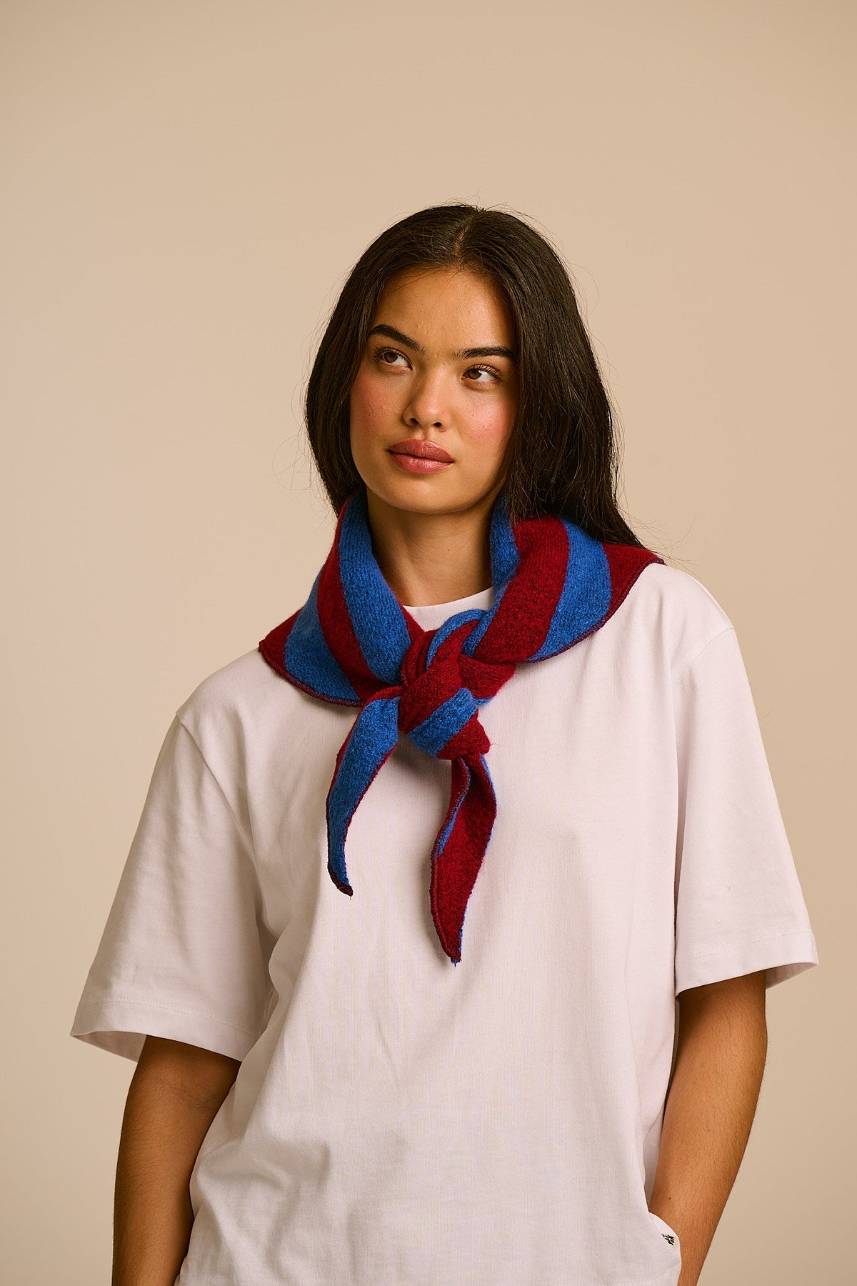 Loki Neck Scarf - Recycled Polyester in Burgundy and Blue Stripe